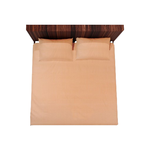 Cotton Double Flat Bedsheet With 2 Pillow Covers (Beige)