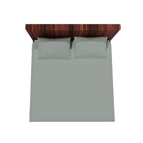 Cotton Double Flat Bedsheet With 2 Pillow Covers (Green)