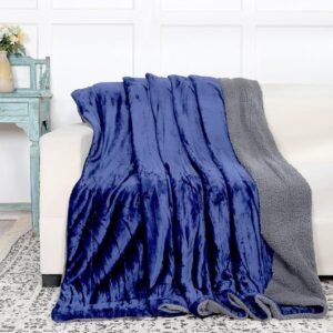 RD TREND Premium Double Bed/Mild Winter Sherpa Blanket Super Soft Flannel for Bed, Sofa, Couch, Camping and Travel (Plain) (Blue)